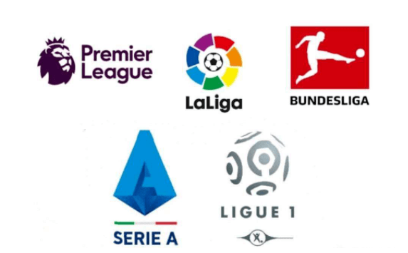 浙江队以 浙江队以